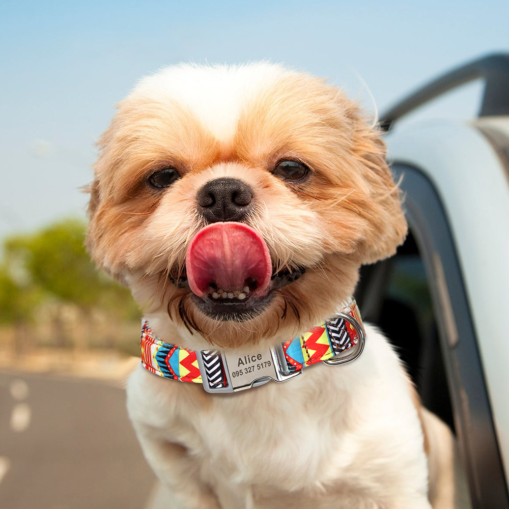 Coleira para Cachorros Personalizada