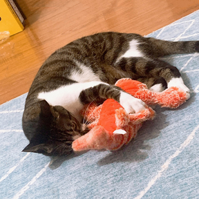 Brinquedo Para Pets em Formato de Lagosta