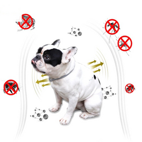 Coleira Anti Pulgas e Carrapatos para Pets