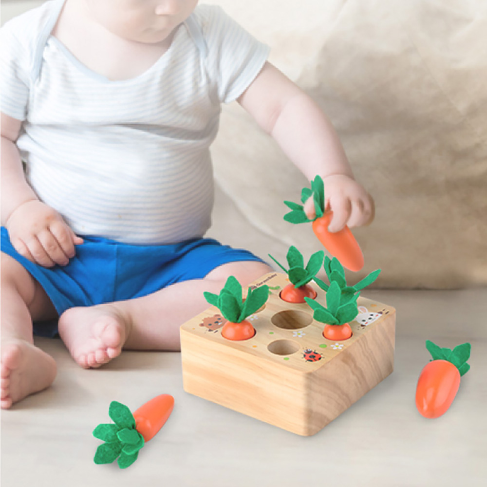 Colheita de Cenouras Brinquedo Educacional para Crianças