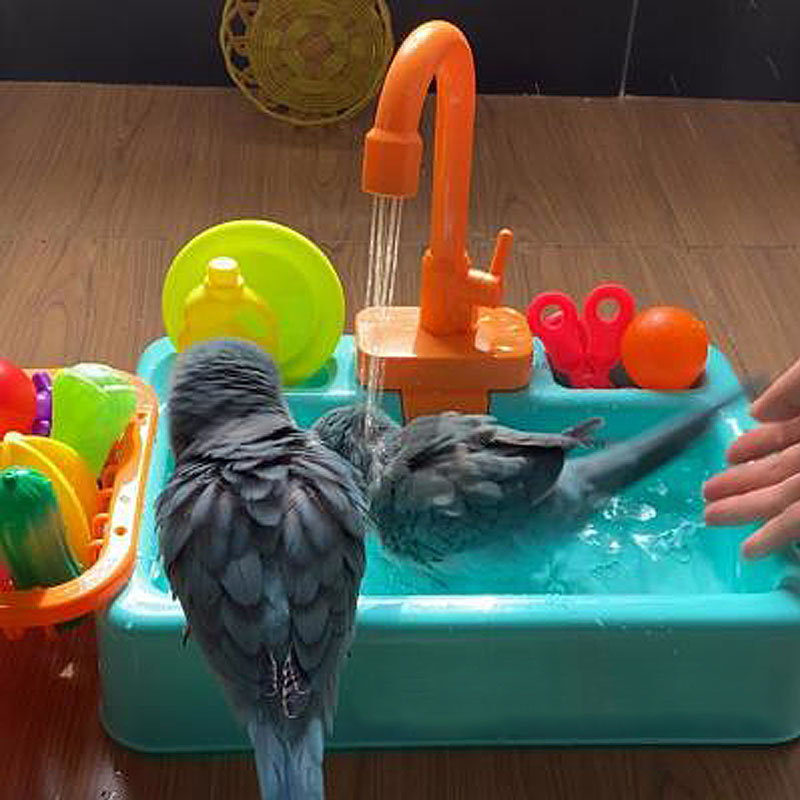 Pia de Brinquedo para Banho de Pássaros e Brincadeiras de Crianças