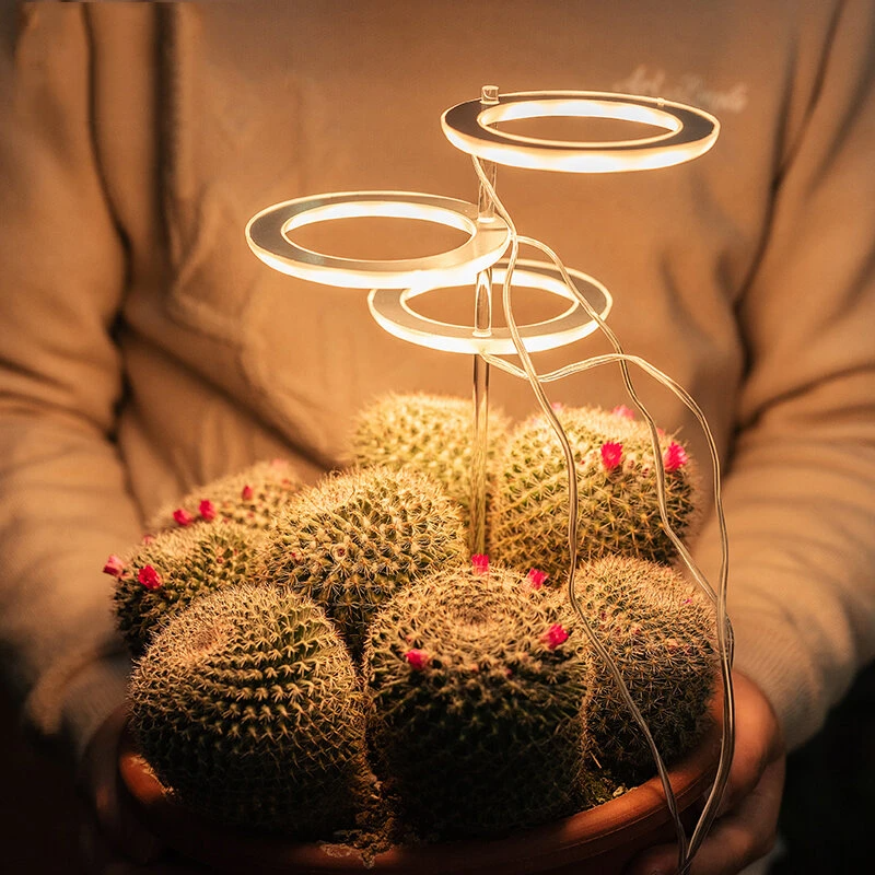 Luzes de Cultivo para Plantas de Interior