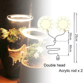 Luzes de Cultivo para Plantas de Interior