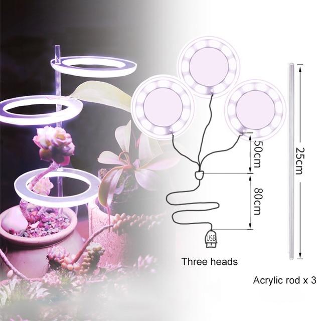 Luzes de Cultivo para Plantas de Interior