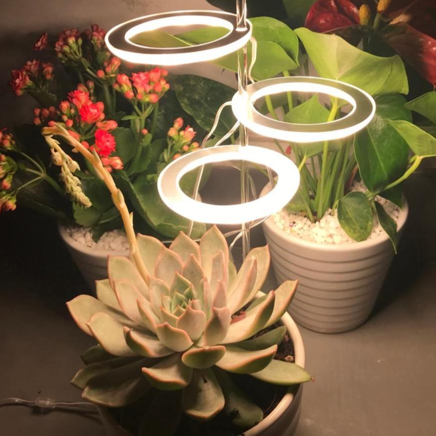 Luzes de Cultivo para Plantas de Interior